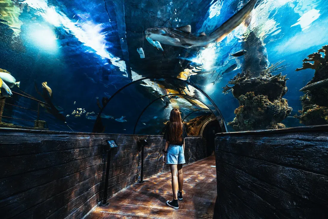 Malta National Aquarium, La Valeta